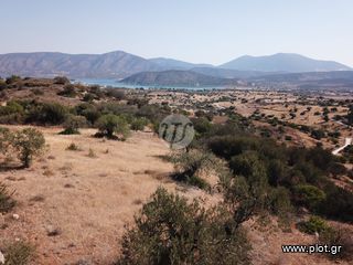 Οικόπεδο 13.790 τ.μ. για πώληση, Αργολίδα, Κρανίδι-thumb-9