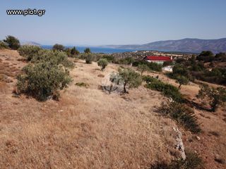 Οικόπεδο 13.790 τ.μ. για πώληση, Αργολίδα, Κρανίδι-thumb-10