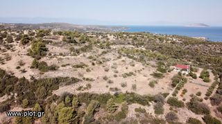 Οικόπεδο 13.790 τ.μ. για πώληση, Αργολίδα, Κρανίδι-thumb-11