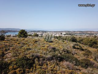 Οικόπεδο 6.800 τ.μ. για πώληση