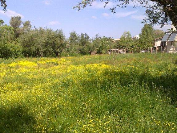 Οικόπεδο 1.245 τ.μ. για πώληση, Ν. Ηλείας, Πύργος