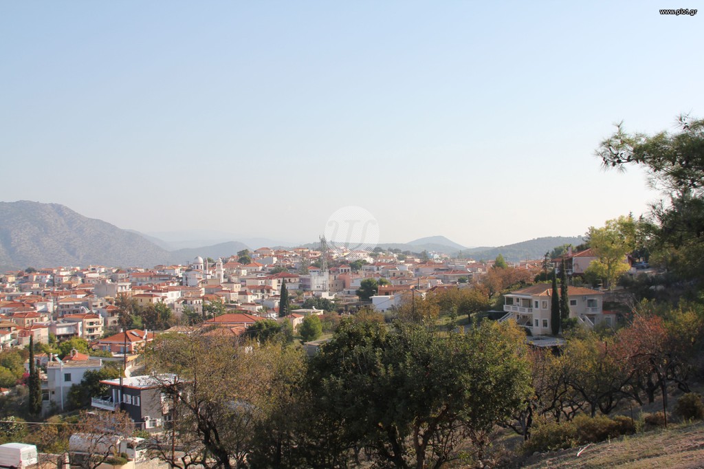 Μονοκατοικία 480 τ.μ. για πώληση, Αργολίδα, Κρανίδι