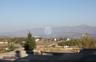 Μονοκατοικία 480 τ.μ. προς πώληση, Κάμπος Κρανιδίου-thumb-14