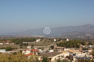 Μονοκατοικία 480 τ.μ. προς πώληση, Κάμπος Κρανιδίου-thumb-16