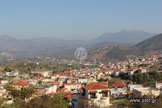 Μονοκατοικία 480 τ.μ. προς πώληση, Κάμπος Κρανιδίου-thumb-18