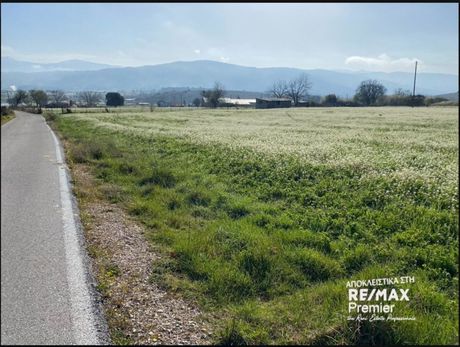 Αγροτεμάχια 6.929τ.μ. για πώληση-Μπιζάνιο » Αμπελεία