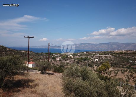 Οικόπεδο 5.558 τ.μ. για πώληση
