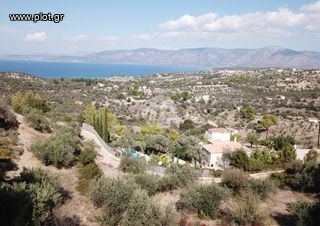 Οικόπεδο 5.558 τ.μ. για πώληση