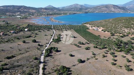 Οικόπεδο 6.093τ.μ. για πώληση-Ερμιόνη » Κινέτα