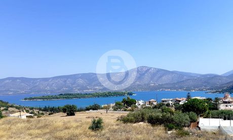 Μονοκατοικία 110τ.μ. για πώληση-Κρανίδι » Κάμπος