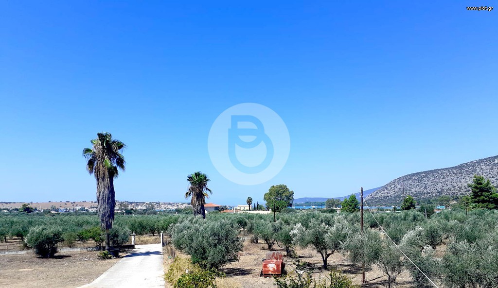 Μονοκατοικία 110 τ.μ. για πώληση, Αργολίδα, Κρανίδι