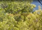 Οικόπεδο 240τ.μ. για πώληση-Αγία παρασκευή » Άγιος ιωάννης