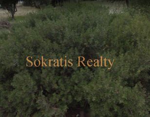 Οικόπεδο 360 τ.μ. πρός πώληση