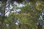 Οικόπεδο 1.400τ.μ. για πώληση-Χαλάνδρι » Έθνος