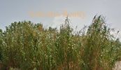 Οικόπεδο 1.160τ.μ. για πώληση-Μαρούσι » Σωρός