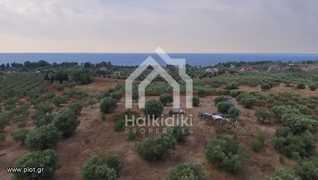 Αγροτεμάχια 5.035τ.μ. για πώληση-Σιθωνία » Νικήτη