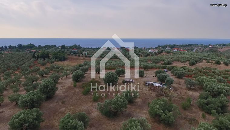 Αγροτεμάχια 5.035 τ.μ. για πώληση, Χαλκιδική, Σιθωνία