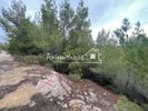 Οικόπεδο 492τ.μ. για πώληση-Πικέρμι » Διώνη