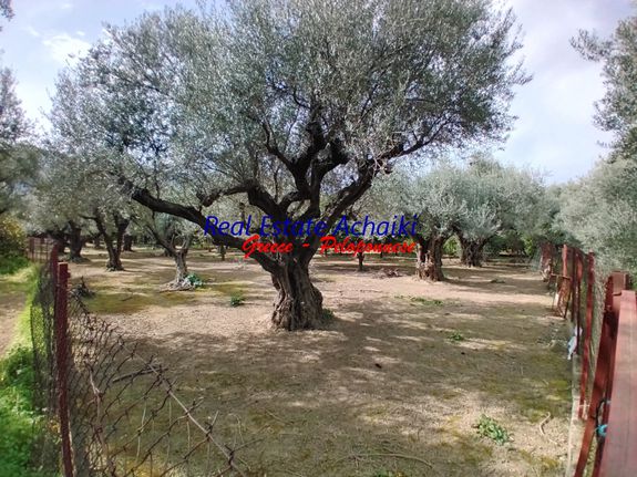 Land plot 2.467 sqm for sale, Achaia, Diakopto