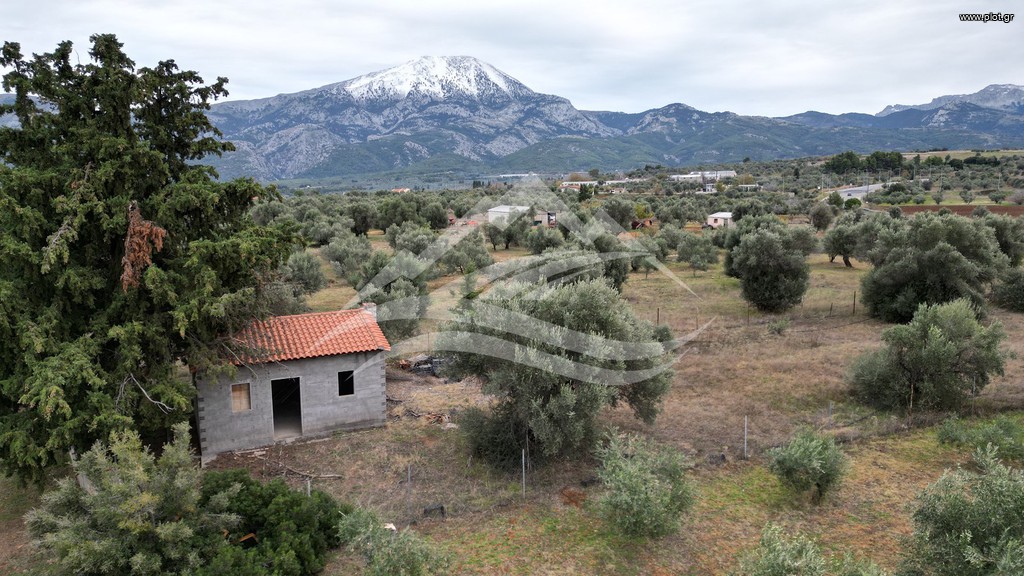 Μονοκατοικία 34 τ.μ. πρός πώληση, Εύβοια, Δίρφυς