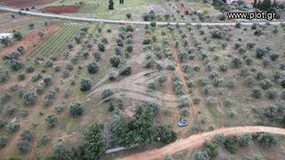 Μονοκατοικία 34 τ.μ. για πώληση, Εύβοια, Δίρφυς-thumb-6