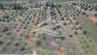 Μονοκατοικία 34 τ.μ. για πώληση, Εύβοια, Δίρφυς-thumb-7