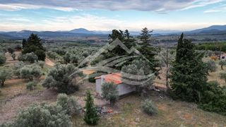 Μονοκατοικία 34 τ.μ. για πώληση, Εύβοια, Δίρφυς-thumb-36