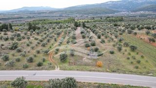 Μονοκατοικία 34 τ.μ. για πώληση, Εύβοια, Δίρφυς-thumb-37