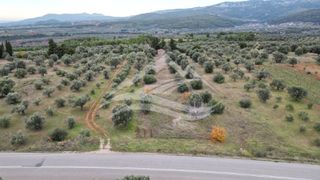 Μονοκατοικία 34 τ.μ. για πώληση, Εύβοια, Δίρφυς-thumb-38
