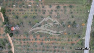 Μονοκατοικία 34 τ.μ. για πώληση, Εύβοια, Δίρφυς-thumb-19
