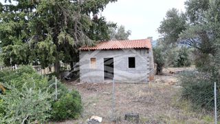 Μονοκατοικία 34 τ.μ. για πώληση, Εύβοια, Δίρφυς-thumb-23