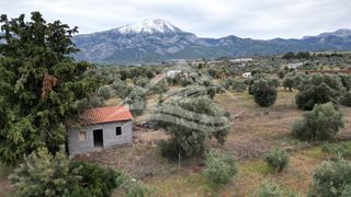 Μονοκατοικία 34 τ.μ. για πώληση, Εύβοια, Δίρφυς-thumb-24