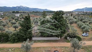 Μονοκατοικία 34 τ.μ. για πώληση, Εύβοια, Δίρφυς-thumb-25