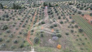 Μονοκατοικία 34 τ.μ. για πώληση, Εύβοια, Δίρφυς-thumb-27