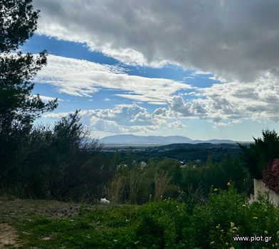 Οικόπεδο 500τ.μ. για πώληση-Πικέρμι » Διώνη