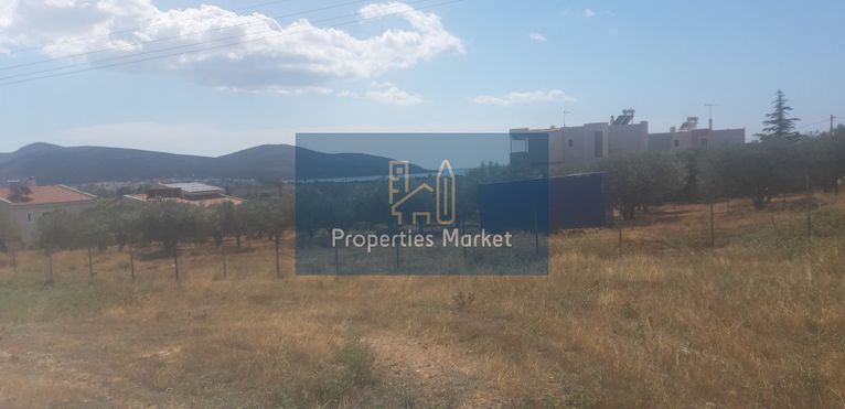 Land plot 1.130 sqm for sale, Rest Of Attica, Anavissos