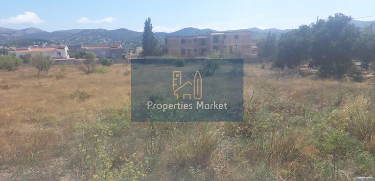 Αγροτεμάχια 5.530 τ.μ. για πώληση, Αττική - Υπόλοιπο, Ανάβυσσος