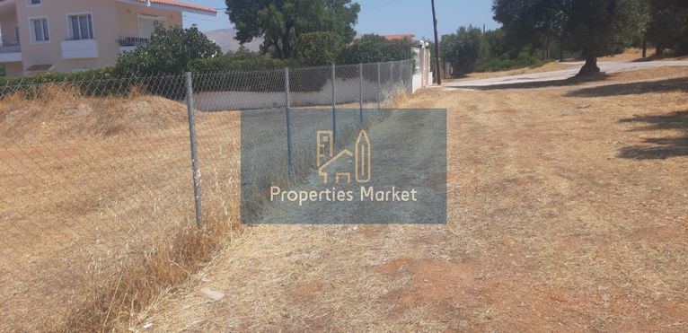 Parcel 4.515 sqm for sale, Rest Of Attica, Palaia Fokaia