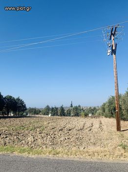 Αγροτεμάχια 4.128τ.μ. για πώληση-Επανομή » Κέντρο