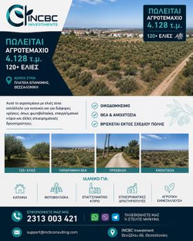 Αγροτεμάχια 4.128 τ.μ. πρός πώληση