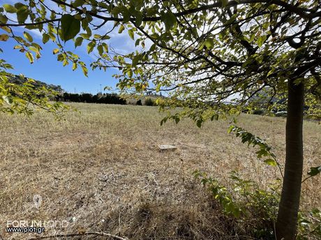 Land plot 2.170sqm for sale-Pylea » Mediterranean Cosmos