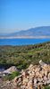 Land plot 7.500sqm for sale-Avia » Megali Mantineia