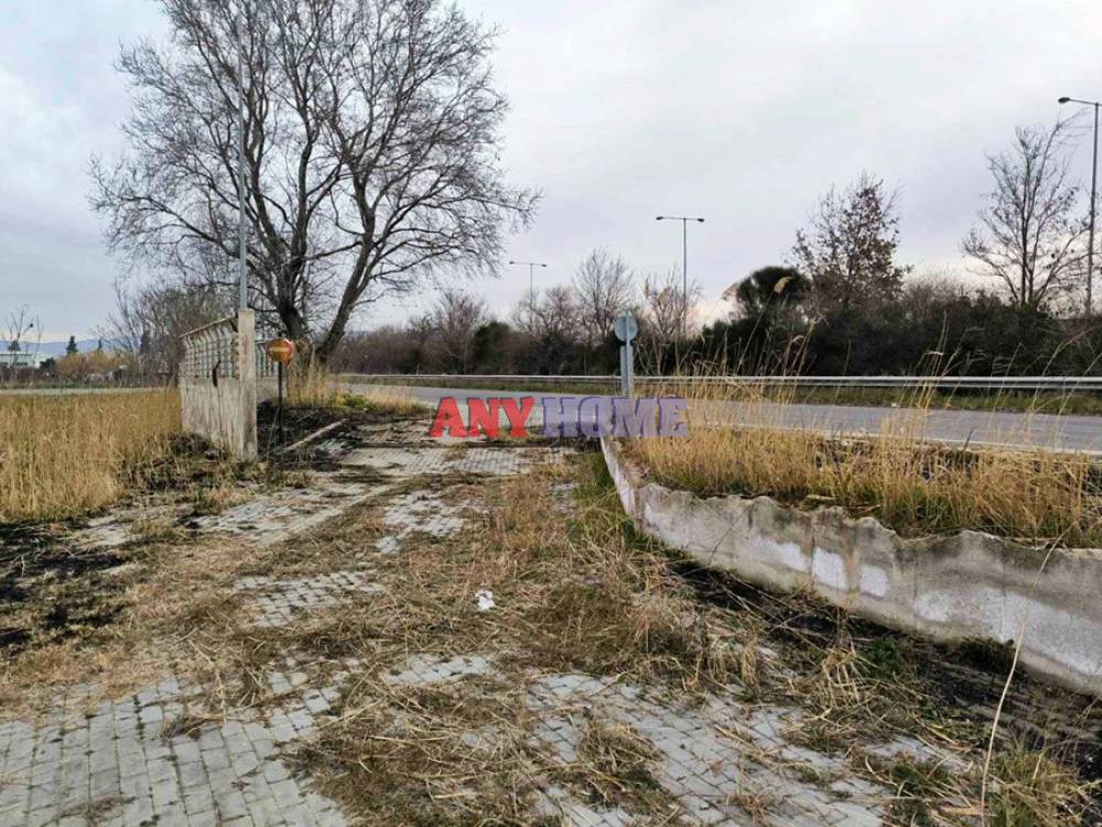 Αγροτεμάχια 6.500 τ.μ. προς πώληση, Νέα Μαγνησία Εχεδώρου
