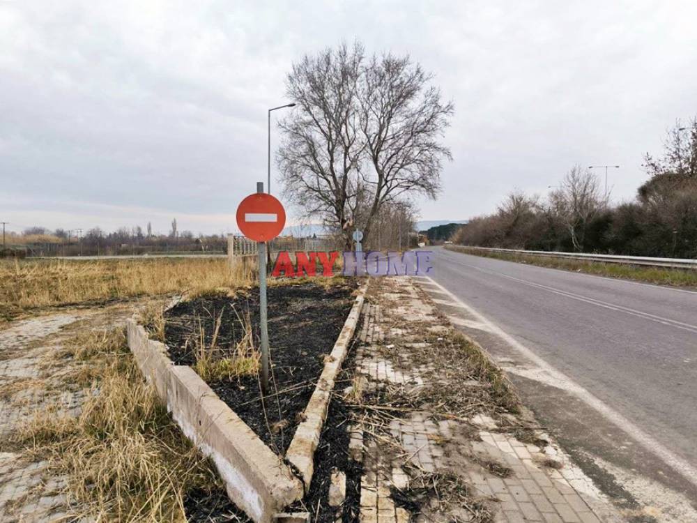 Αγροτεμάχια 6.500 τ.μ. προς πώληση, Νέα Μαγνησία Εχεδώρου