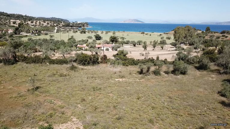 Οικόπεδο 6.250 τ.μ. για πώληση, Αργολίδα, Κρανίδι