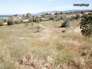 Οικόπεδο 6.250 τ.μ. για πώληση, Αργολίδα, Κρανίδι-thumb-6