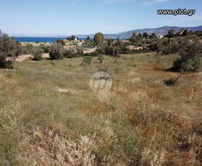 Οικόπεδο 6.250 τ.μ. για πώληση, Αργολίδα, Κρανίδι-thumb-7