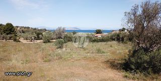 Οικόπεδο 6.250 τ.μ. για πώληση, Αργολίδα, Κρανίδι-thumb-8