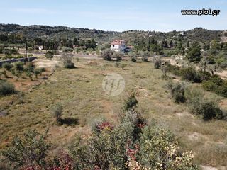 Οικόπεδο 6.250 τ.μ. για πώληση, Αργολίδα, Κρανίδι-thumb-10