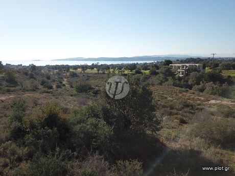 Οικόπεδο 4.037τ.μ. για πώληση-Ερμιόνη » Κινέτα